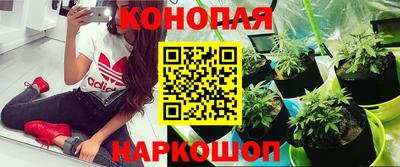 соль ск Чапаевск