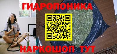 ПСИЛОЦИБИНОВЫЕ ГРИБЫ Чебаркуль