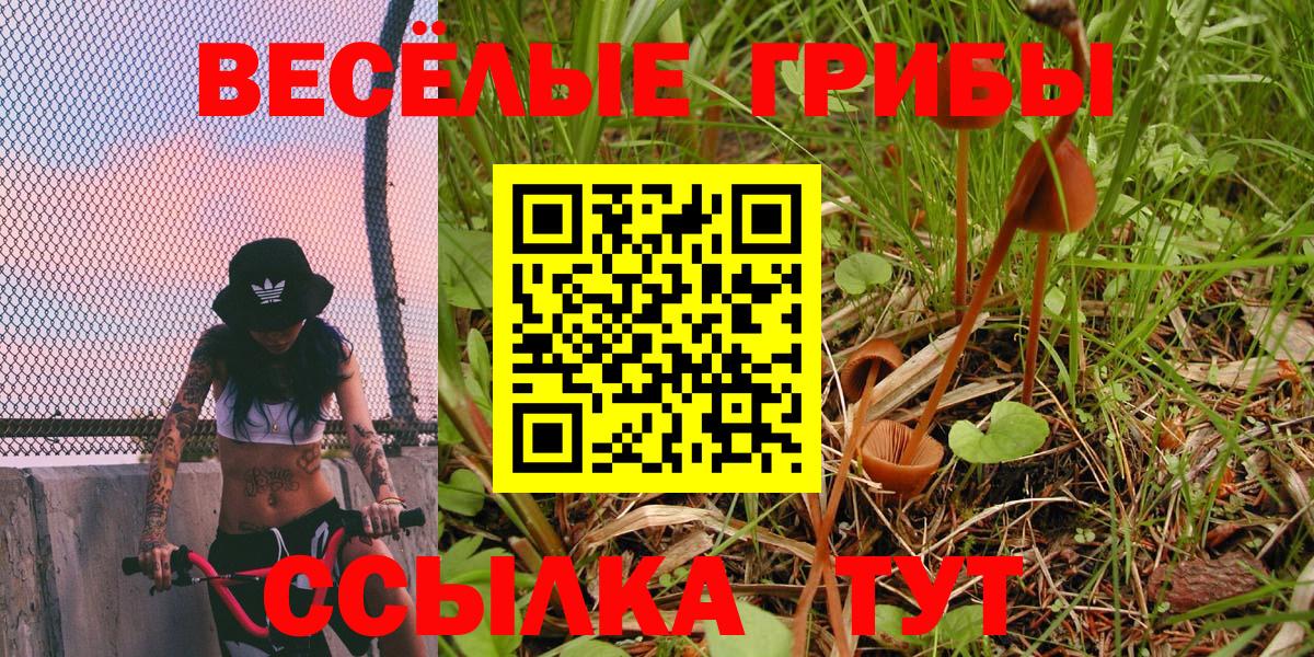 Галлюциногенные грибы ЛСД  Вход с VPN  Балашиха  цена наркотик  Псилоцибиновые грибы Magic Shrooms 