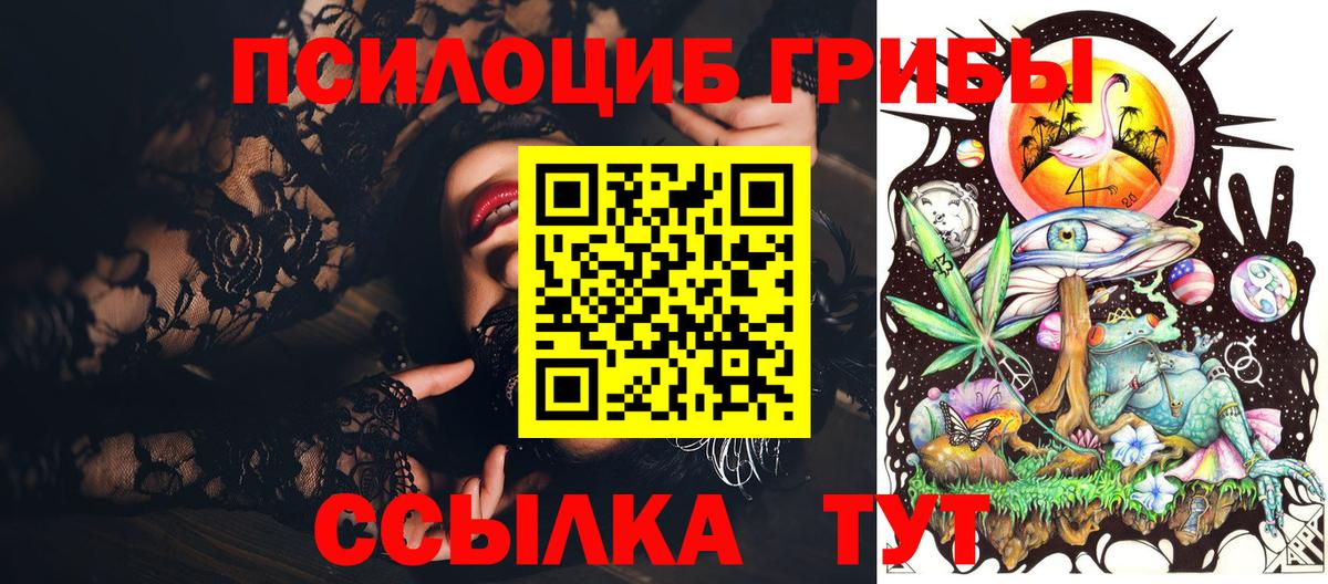 Псилоцибиновые грибы Psilocybine cubensis Балашиха